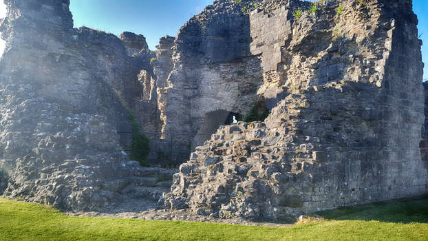 Denbigh Castle