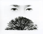 Montage I by YutaniX
