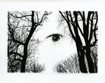 Montage II by YutaniX