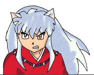 inuyasha by punkerfairie