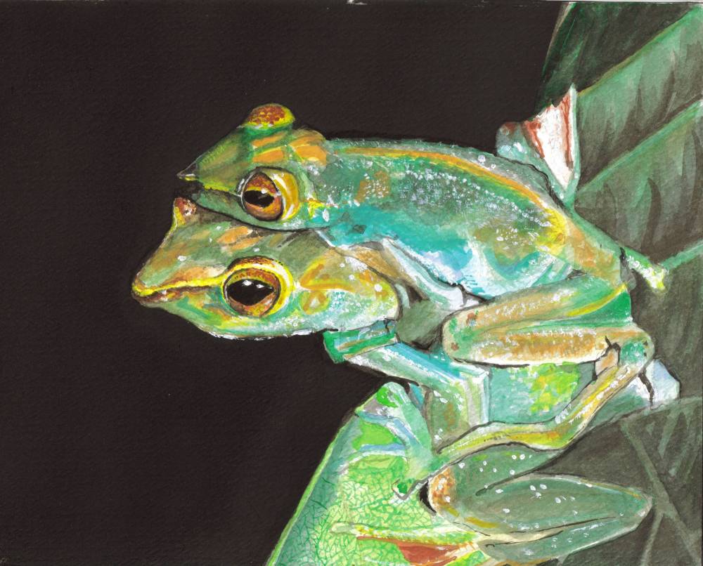 'Happy Frogs' 2006