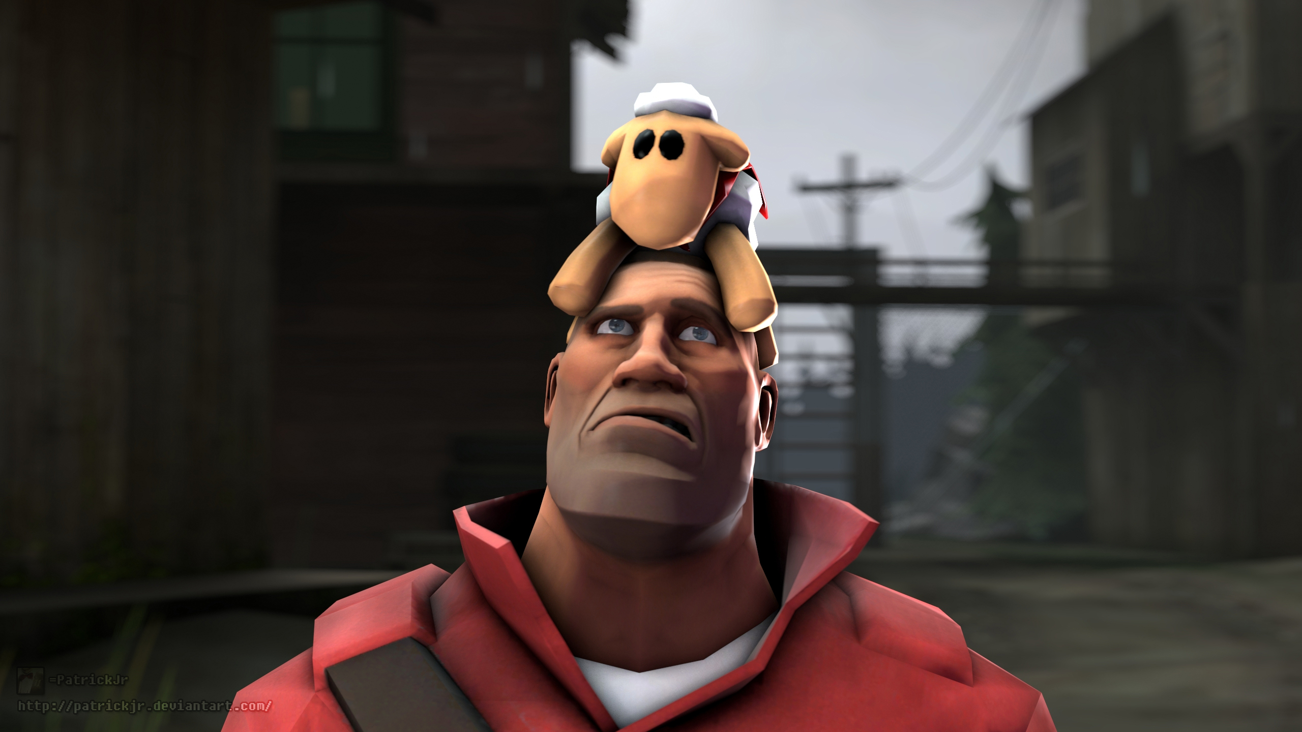 SFM Poster: The Sheep