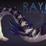 [CLOSED] Adopt auction - RAYMOND