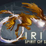 Irillia s