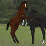 Deadly Temptation and Baroque