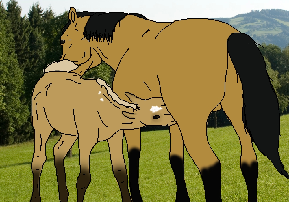 Unassailable- Foal