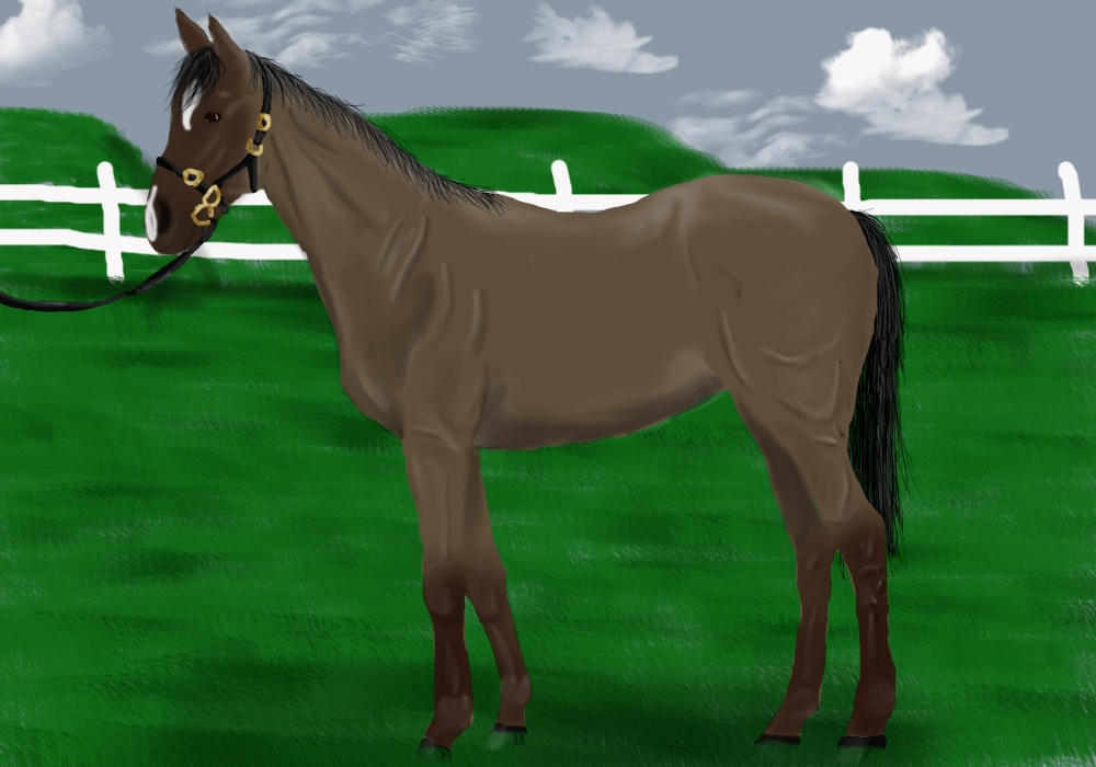 Rose Wanderer- ref by SunnyBlueDay on DeviantArt