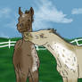 FoalsofaDifferentColor-SOLD