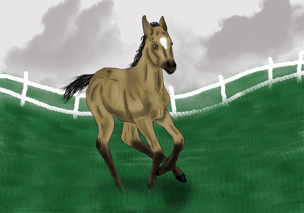 Lord Northwest- foal ref