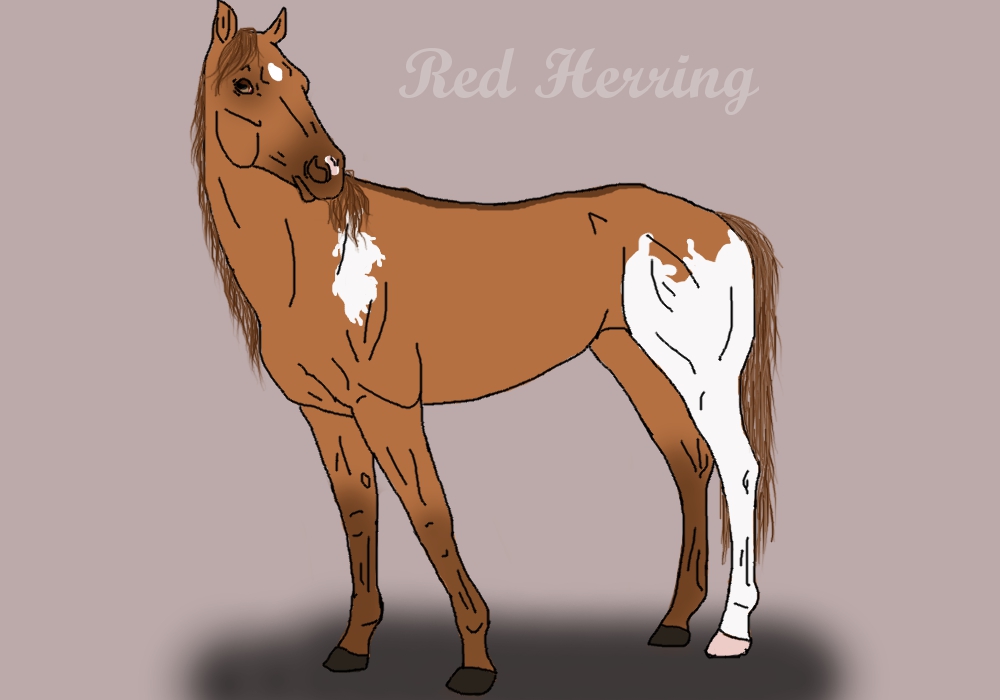 Red Herring- adult ref