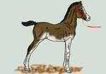Belinda Bliss- BDS Foal Halter by SunnyBlueDay