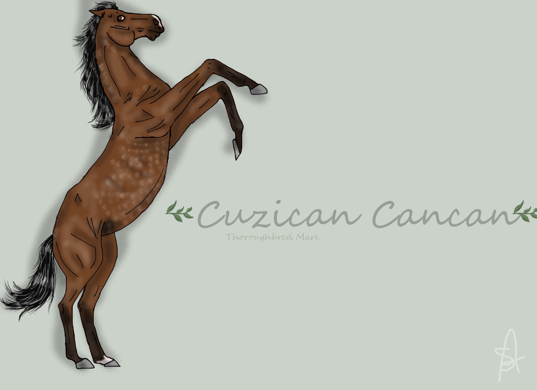 Cuzican Cancan- ref