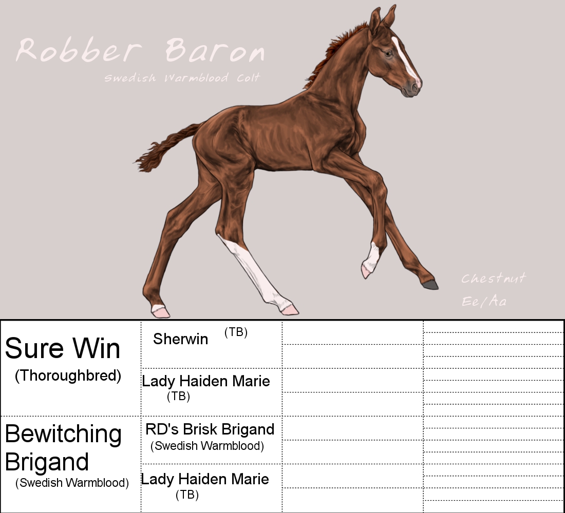 Auction- Foal 3