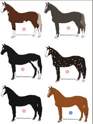 HARPG Horses for Sale