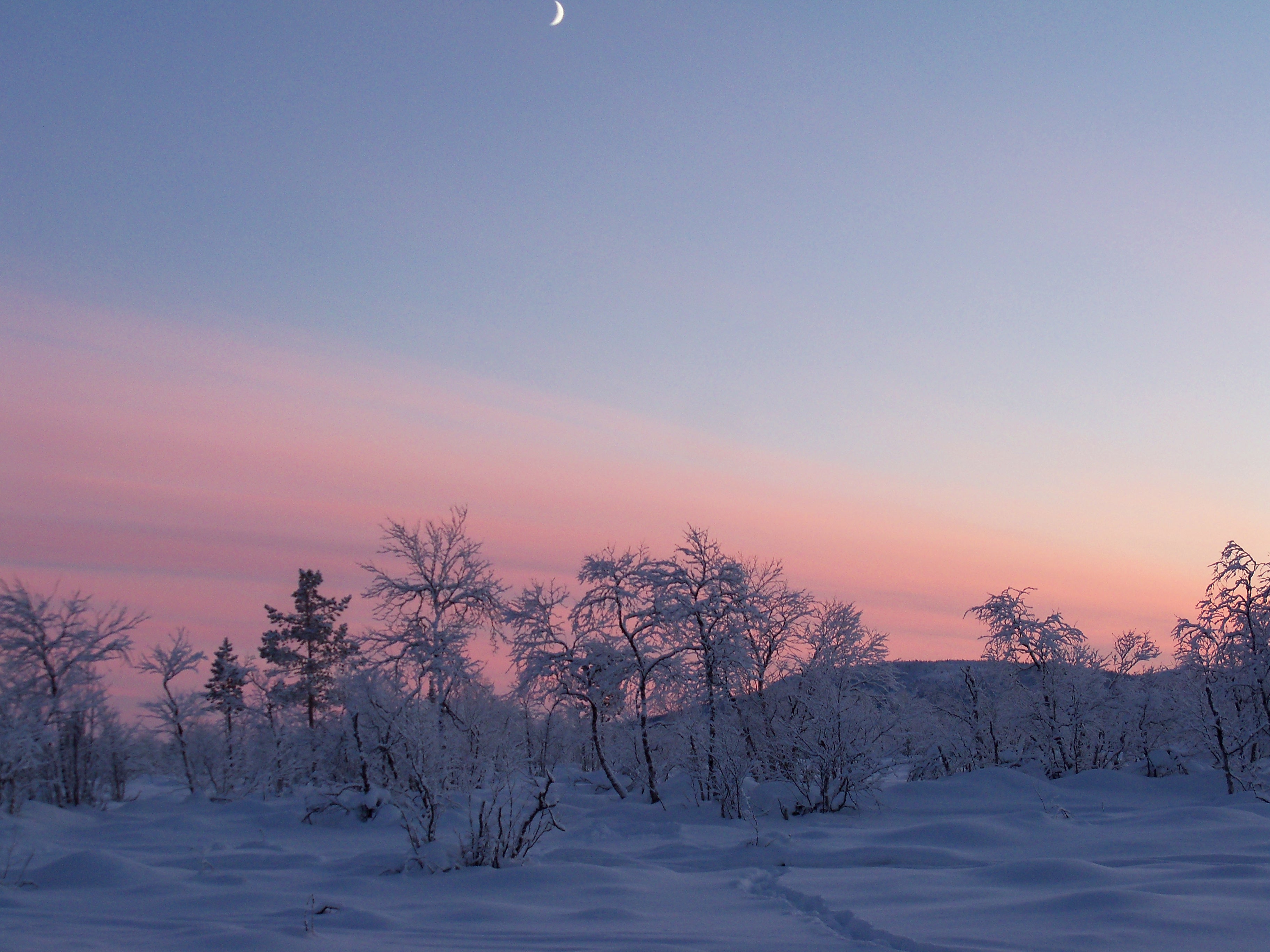 Winter in Lappland 3