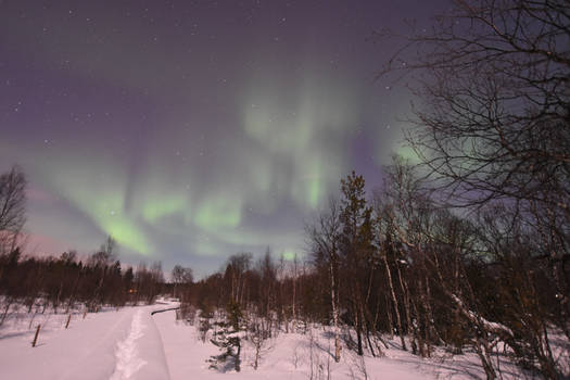 Northern lights 2