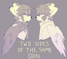 two sides