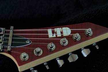 LTD M100-FM Headstock 03