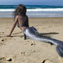 Aurore Mermaid Beach 2