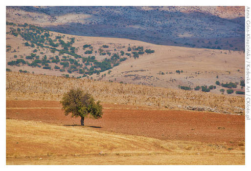 Turkey - through the bus window 2