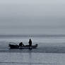 Navigating Storms of Emotions