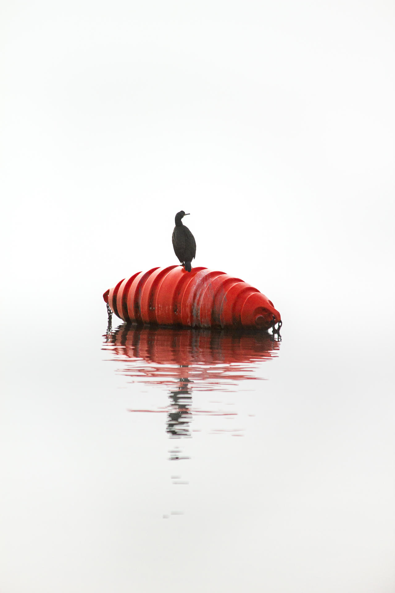 Life raft