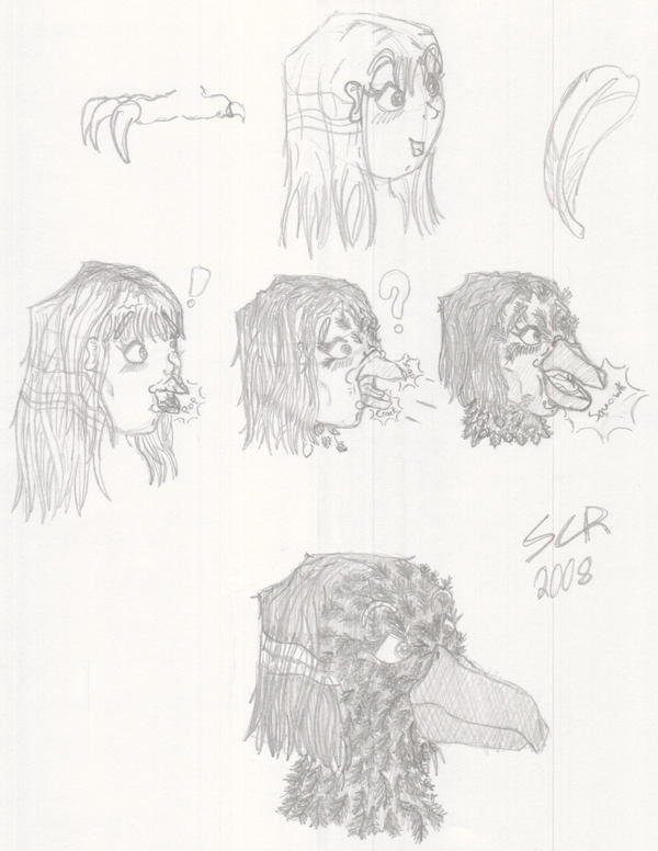 Bird TF by stevenater on DeviantArt