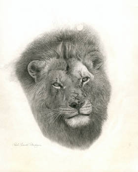 Lion in Zion