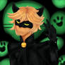 Chat Noir!