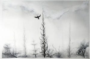 Crows Country by Tistelmark Crows Country by Tistelmark