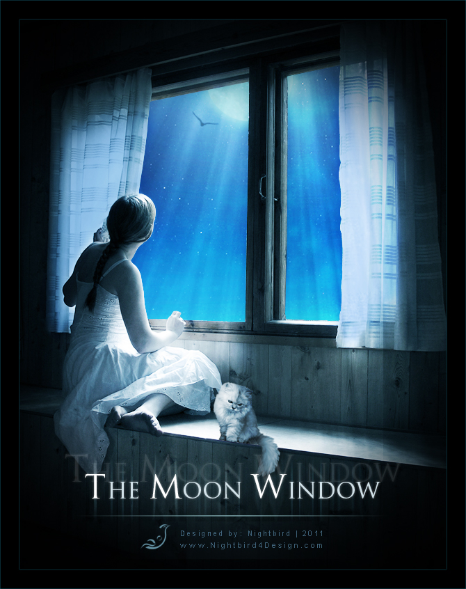 The Moon Window