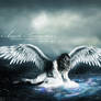 Angelic Premonition