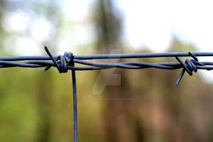 Barbed Wire II