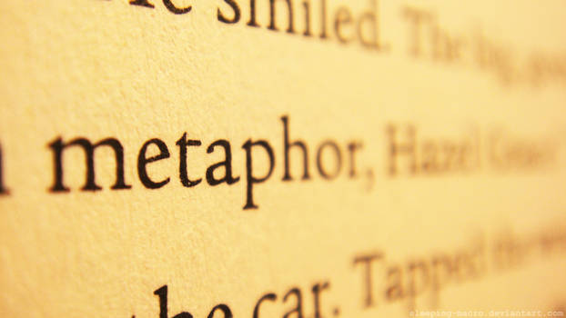 Metaphor