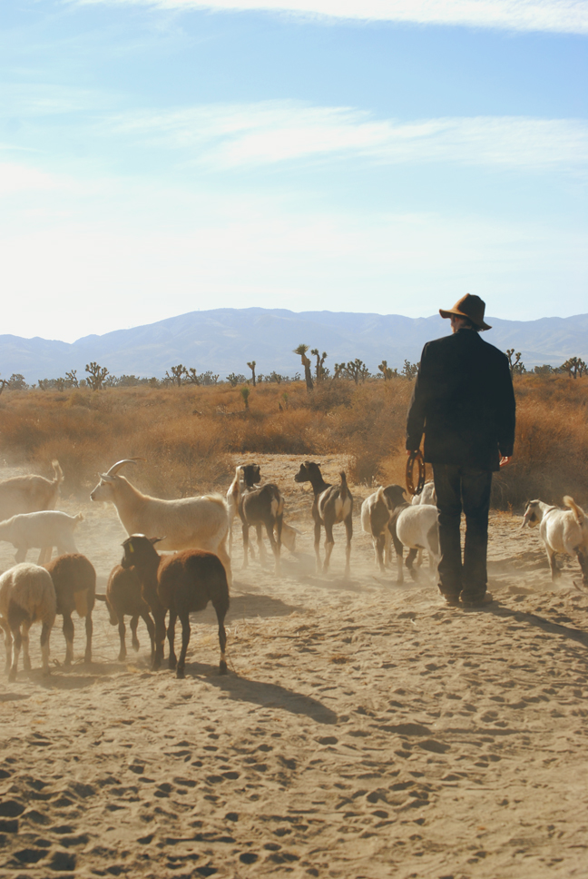 goat troubadour