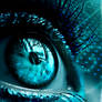 A Mermaid's Eye