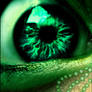Ever Green