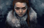Arya Stark of Winterfell by venellah