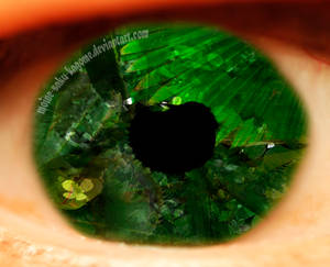 In eyes of Green