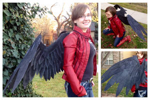 Black Cosplay Wings