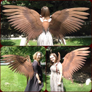 Maleficent Cosplay Wings