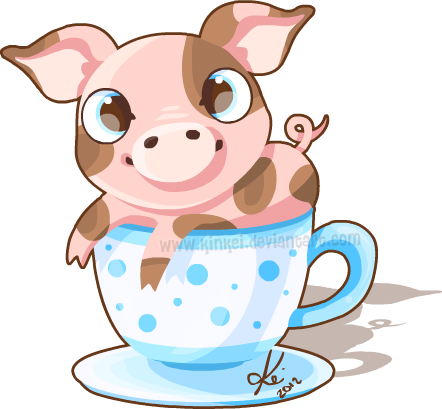 tea cup pig