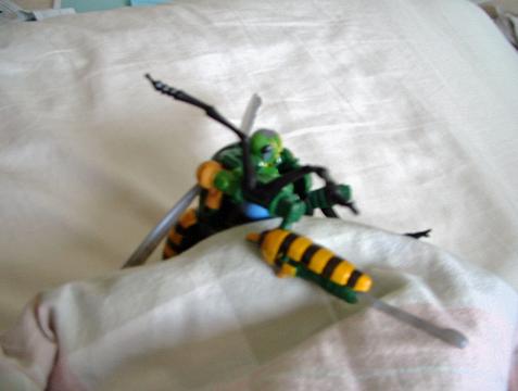 Waspinator celebrates the 10th