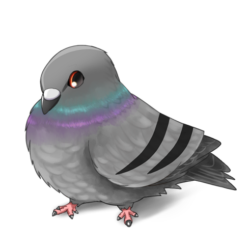 pigeon by Pigeon-Capsule on DeviantArt