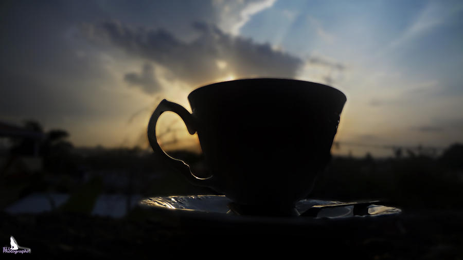 My Cup of Sunset III