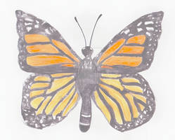 Monarch Butterfly (Exclusive)