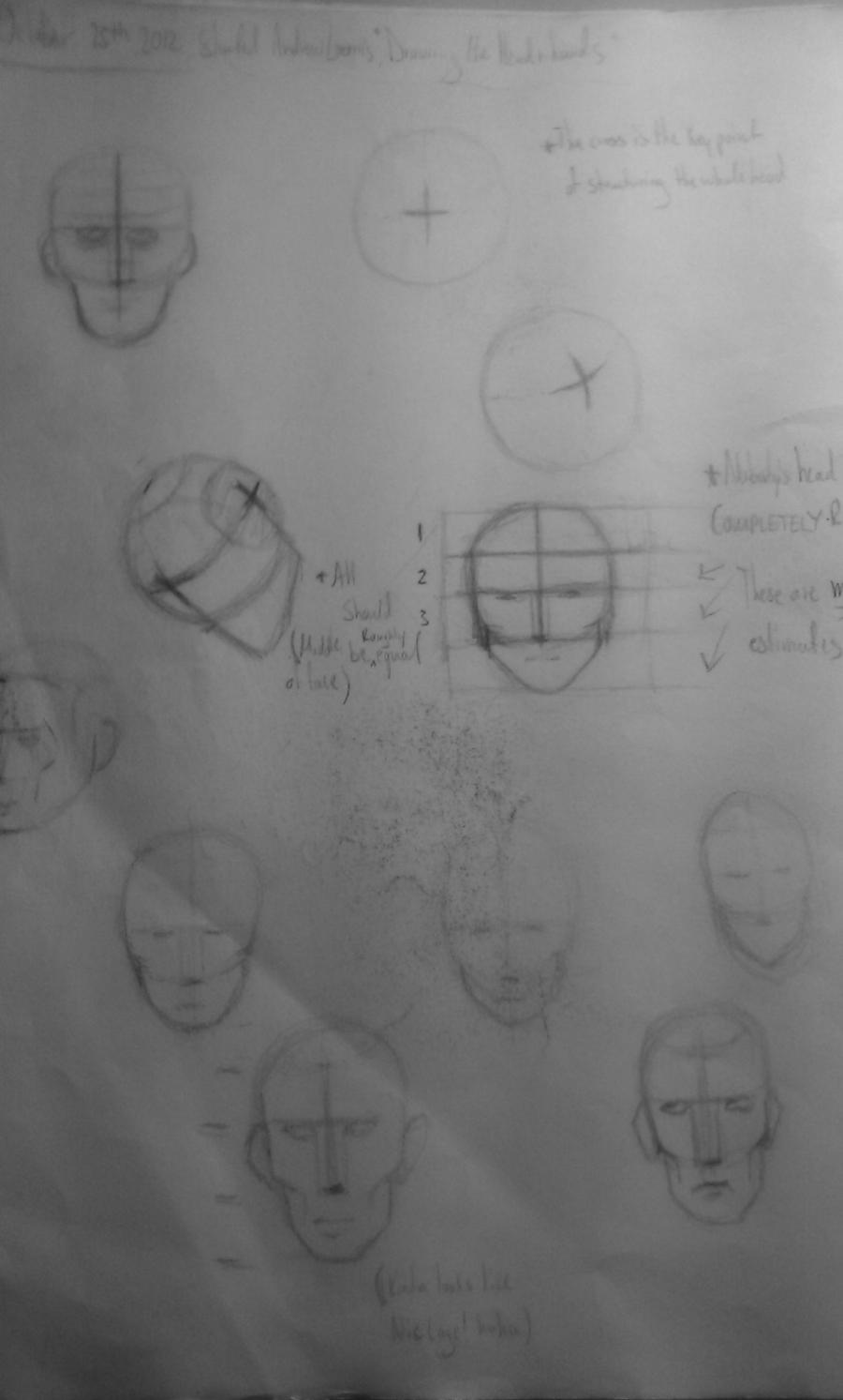 Andrew Loomis Head Studies/Construction