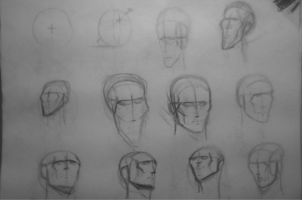 Head Drawigs Head Studies: The andrew loomis method by sheerdrawz on DeviantArt