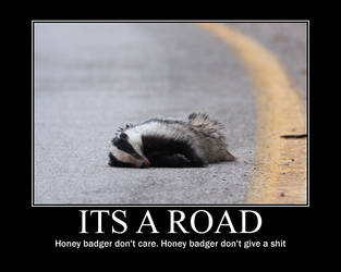 Honey badger don't care