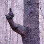 thats one pissed tree